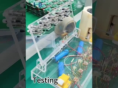 পরীক্ষা